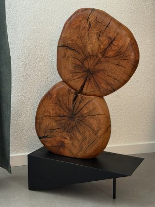 ✨ Drevo, ktoré nesie svoj vlastný príbeh. Dva masívne kusy – každý s jedinečnou kresbou, prasklinami a stopami času. A...