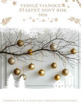 Šťastné a Veselé Vianoce všetkým 🎄🤎 . . Ďakujeme za Vašu dôveru v tomto roku a veríme, že aj v roku 2026 budeme môcť byť...